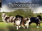 Les Bergers de Peirocountaou