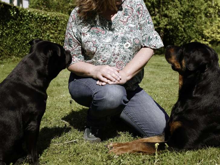 Besoins Canins