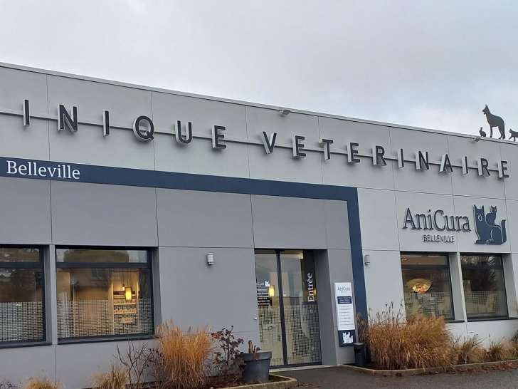 Anicura Belleville