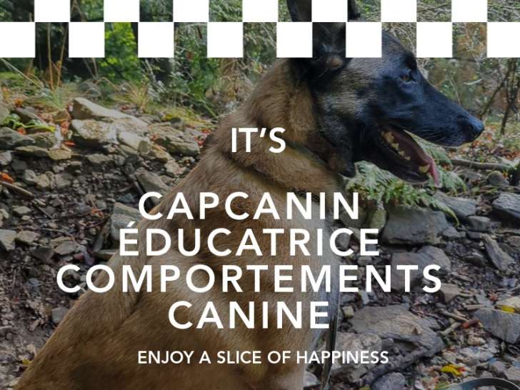 Capcanin
