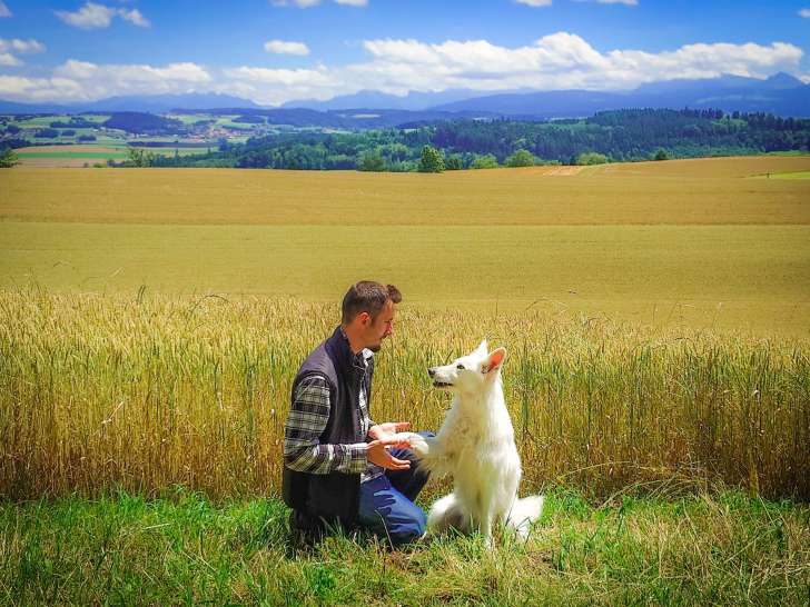 L'Aube Canine