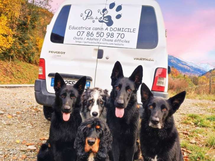 Patte de Loù
