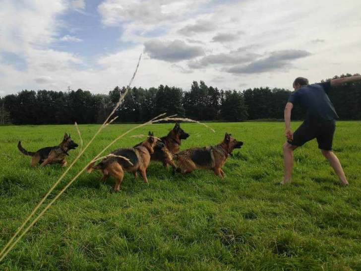 on joue à la balle près de la rivière