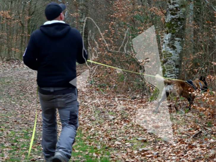 Trail'Dog Éducation
