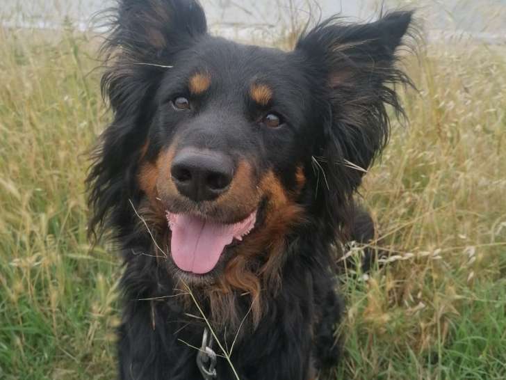 O'canizen