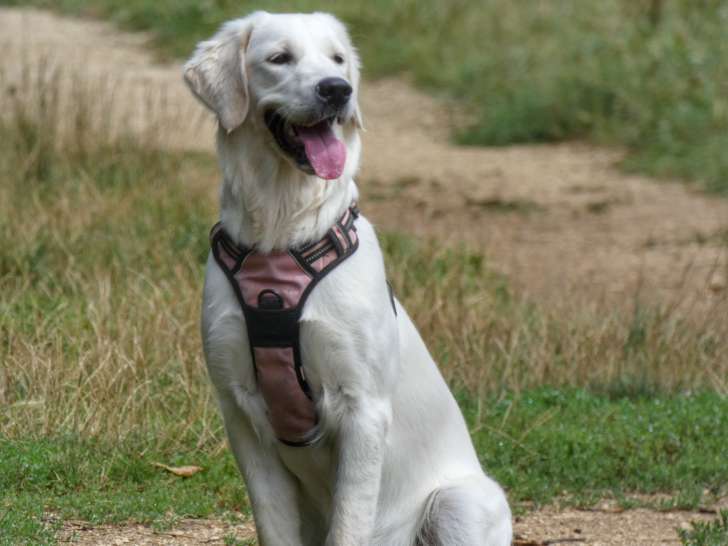 Ruby, la maman