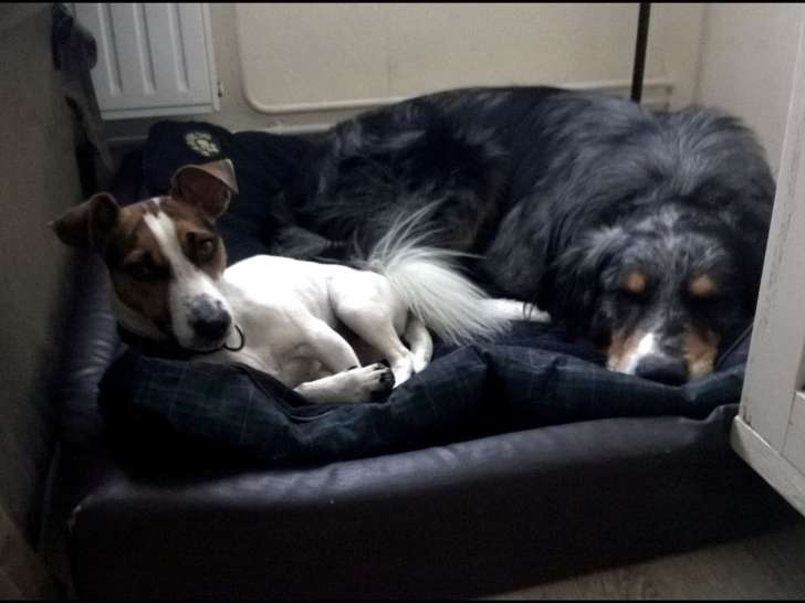 Esprit-Canin