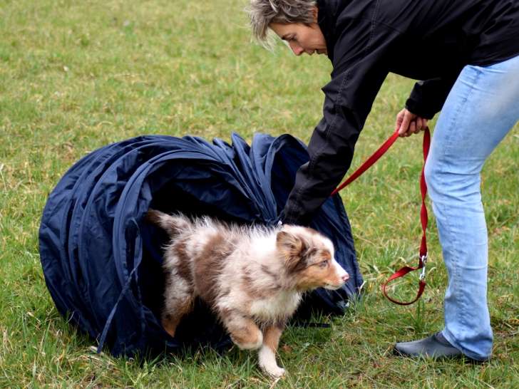 Esprit-Canin