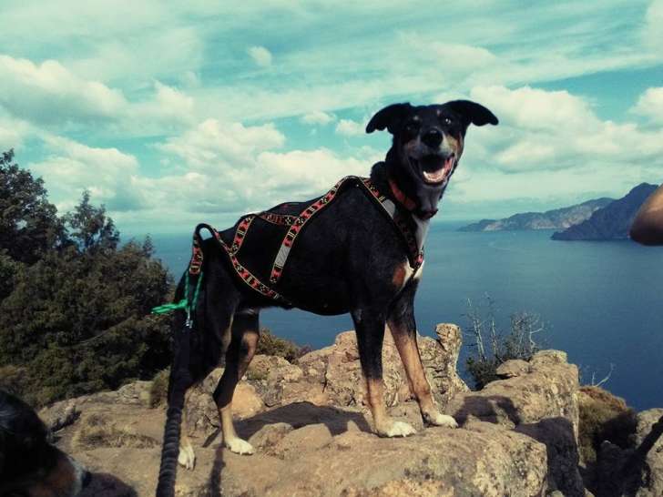 Esprit-Canin