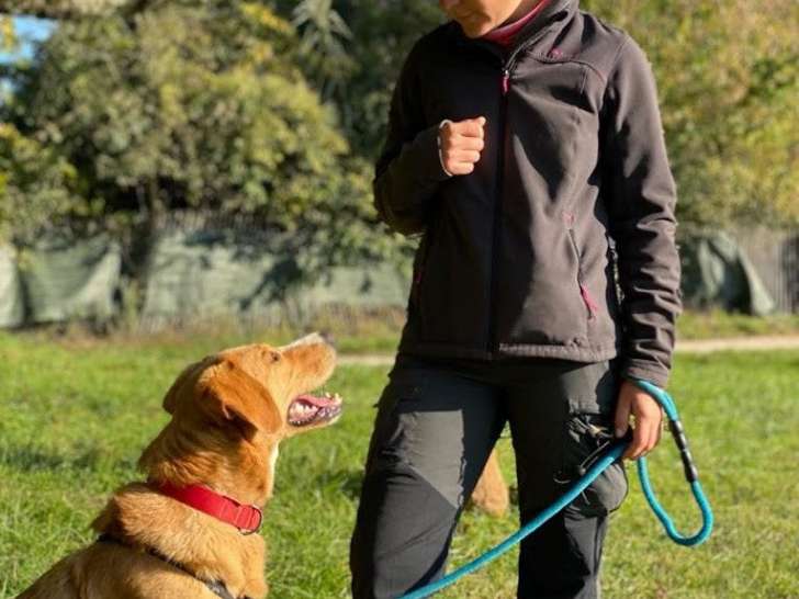 Education Canine du Forez
