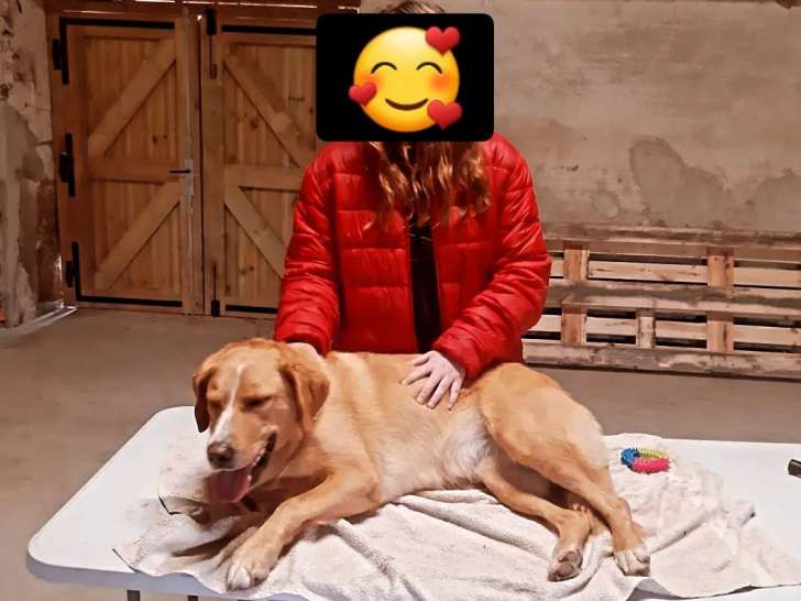 Education Canine du Forez