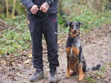 Savoie Dog'Educ