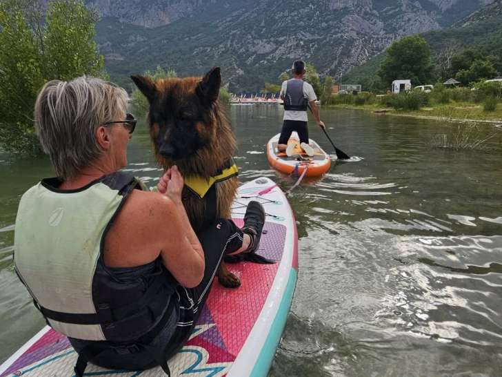 1 vie 2 chiens