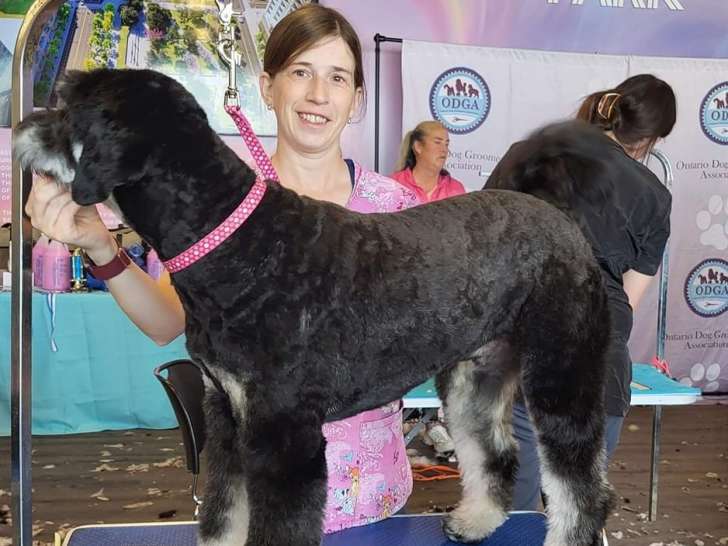 Maison Chien Canine Coiffure