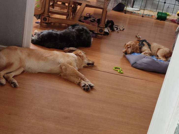 Bandy et Compagnie