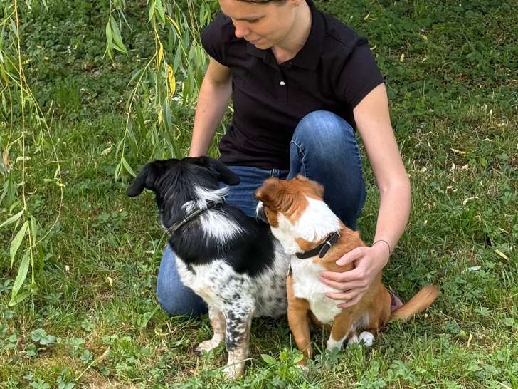 UnyDog