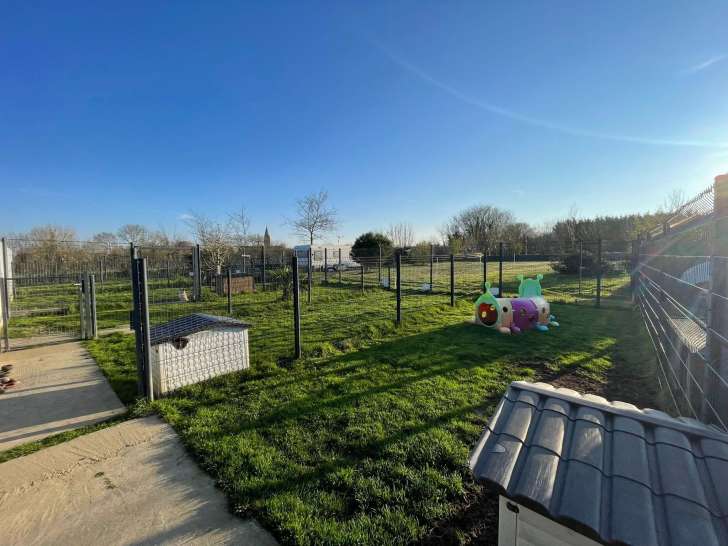 parcs pour petits chiens