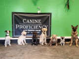 Canine Proficiency Center