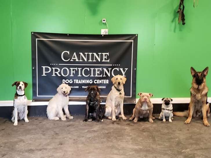 Canine Proficiency Center