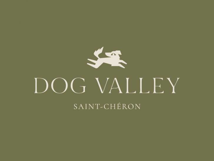 Logo Dog Valley