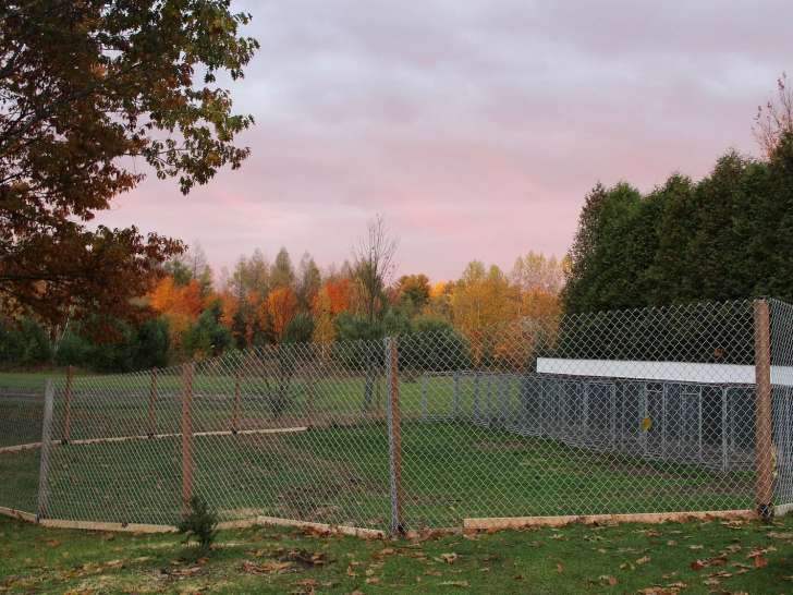 Domaine Golden Mania