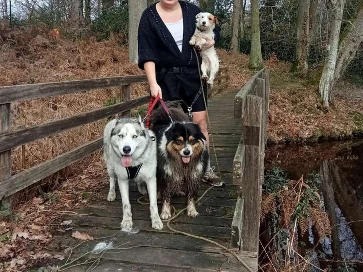 The Pets Family