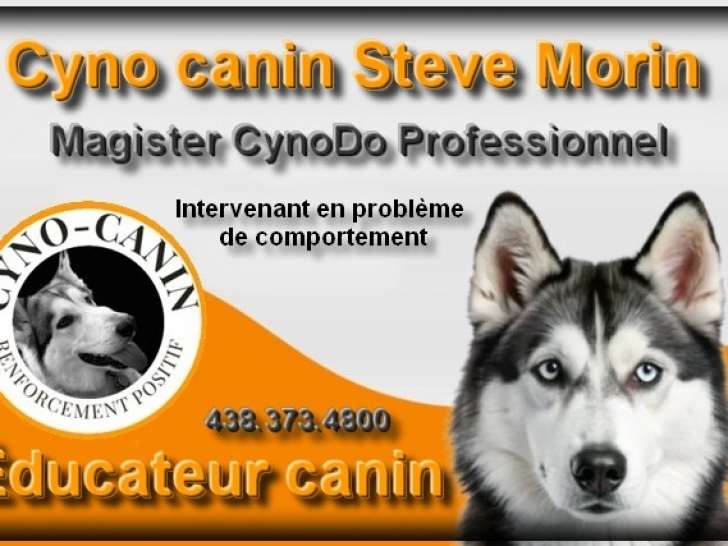 Cyno Canin Steve Morin MCP