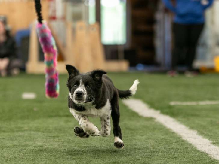 RUFF Athletics Facility