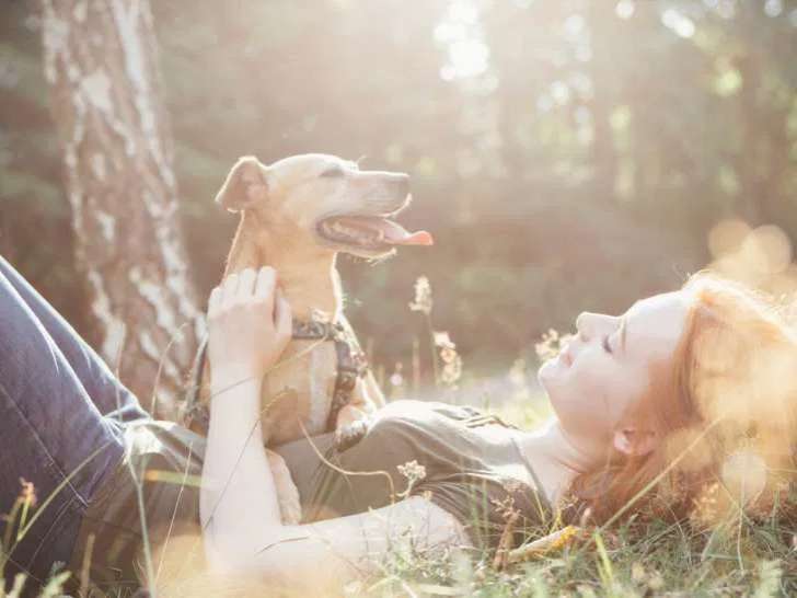 Eternal Companions