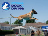 Ottawa Dock Diving