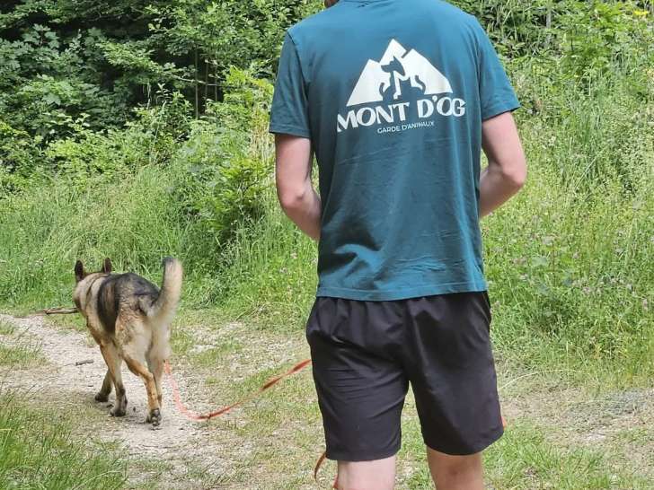Mont d'Og