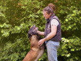Canis Disciplina