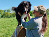 Canis Disciplina