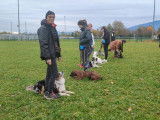 Club Gessin d'Education Canine (CGEC)
