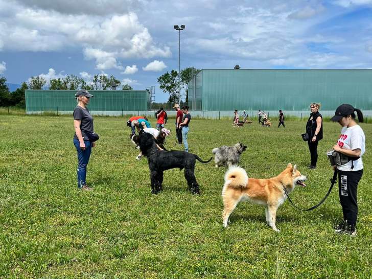 Club Gessin d'Education Canine (CGEC)