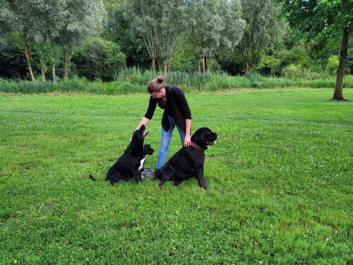 Educ'canin