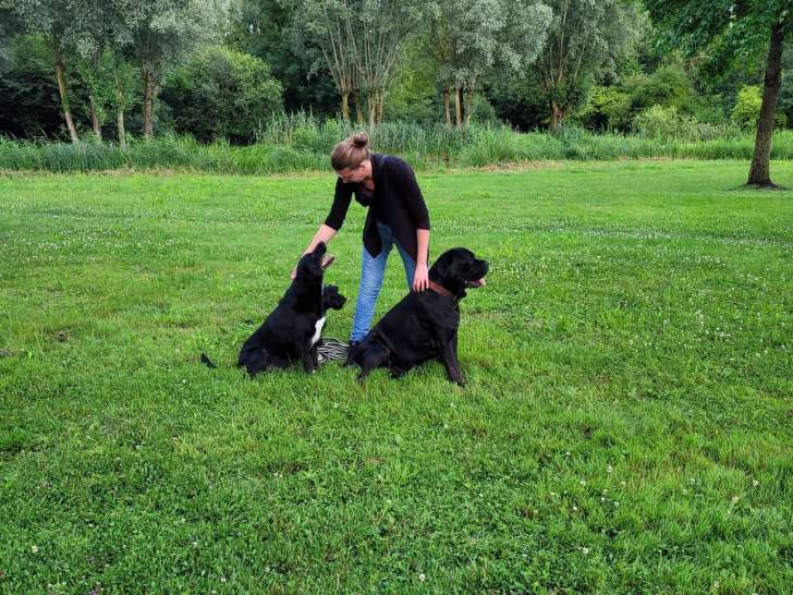 Educ'canin