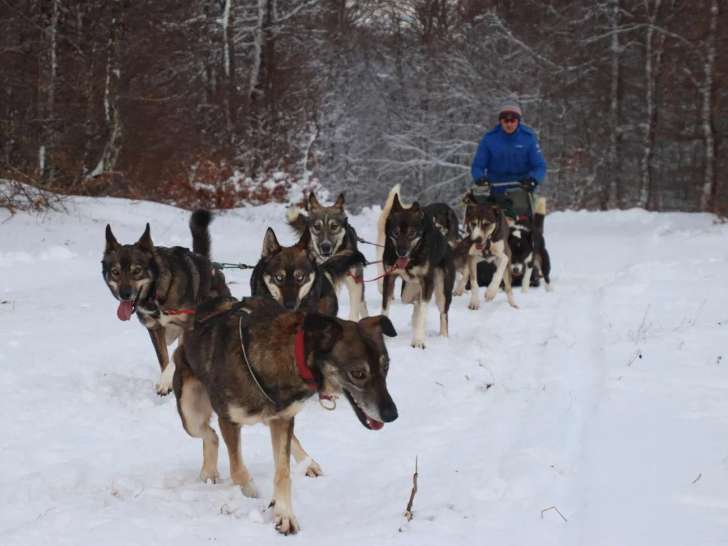 Nordic Team