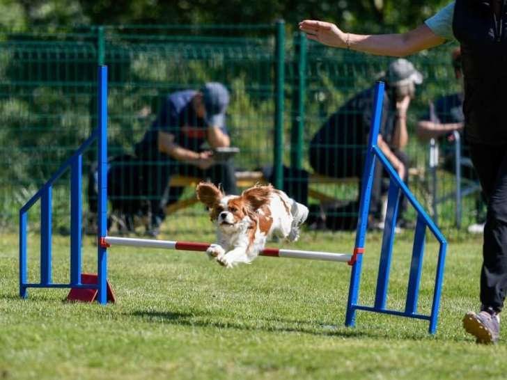 Espace Canin Ardéchois