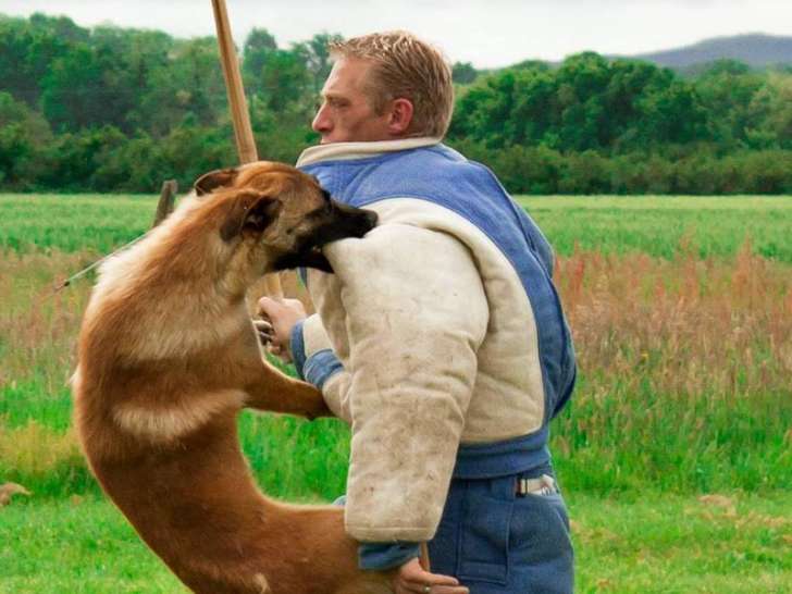 Ariege Education Canine