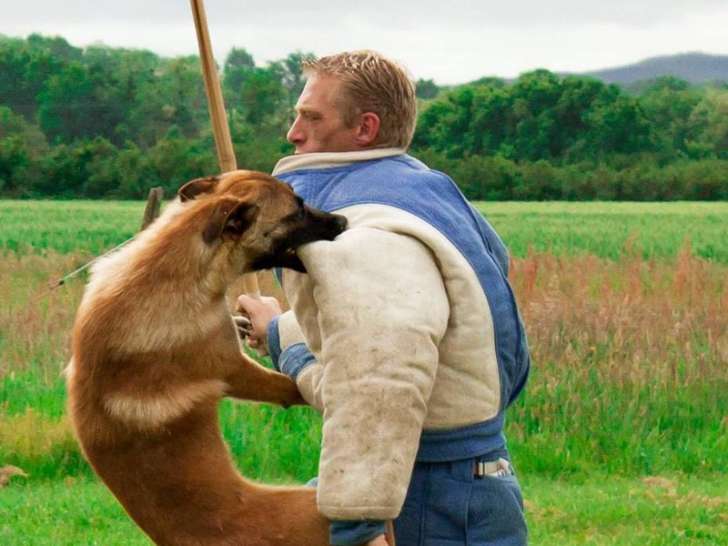 Ariege Education Canine