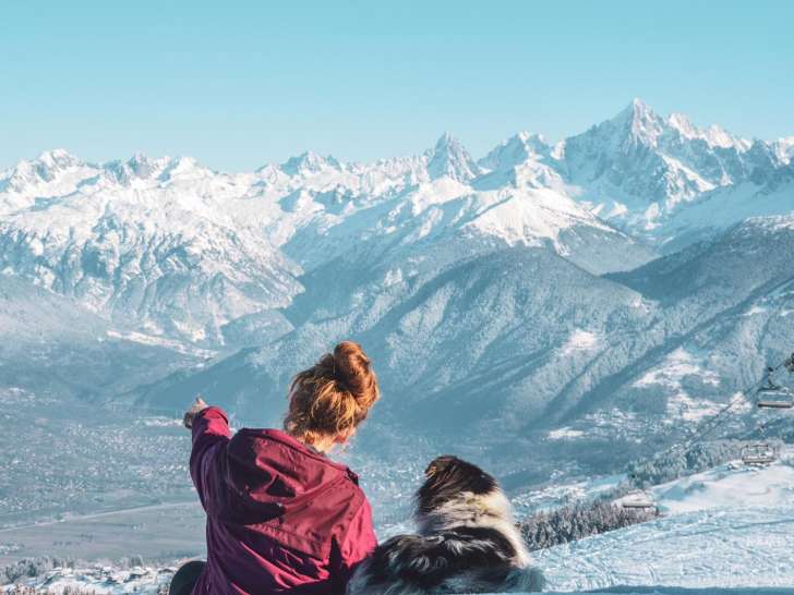 Dog's Souls