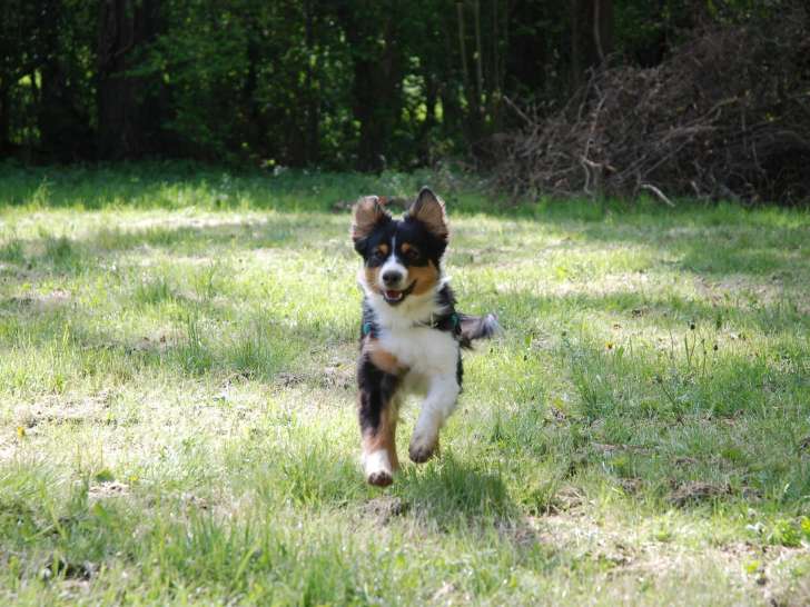 Les Montagnes de Lika