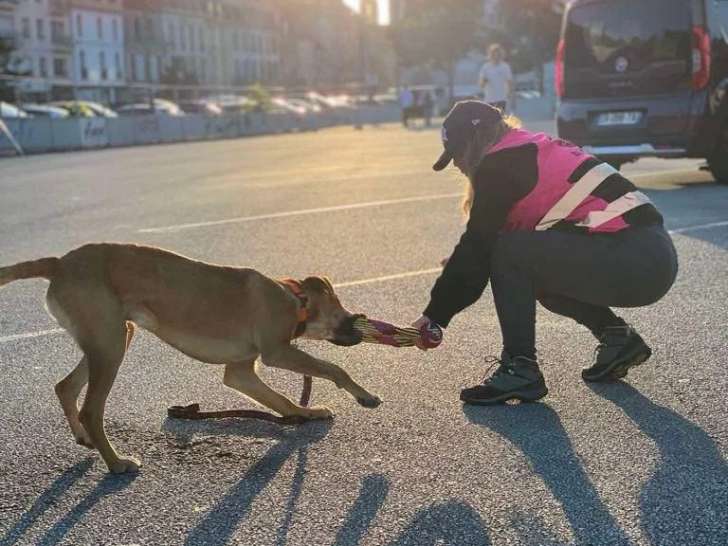 Gamelles Pleines Quimper