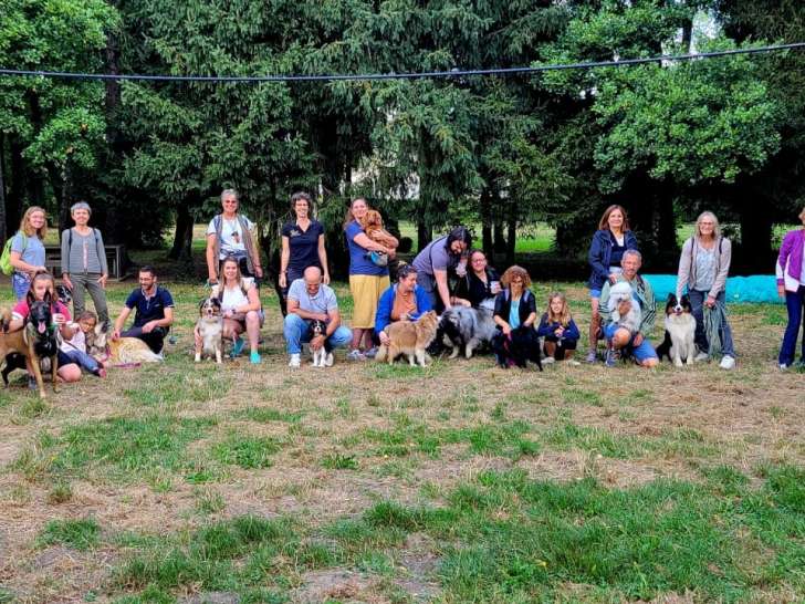 Dog Déclic