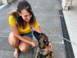 Cani-passions 06