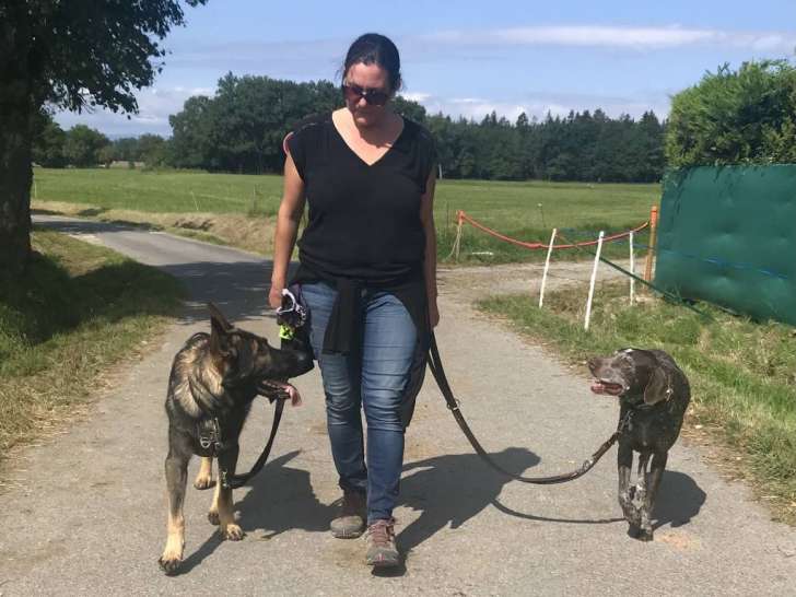 Les Chiens Parlent