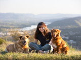 Motiv'Canine