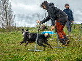 Motiv'Canine
