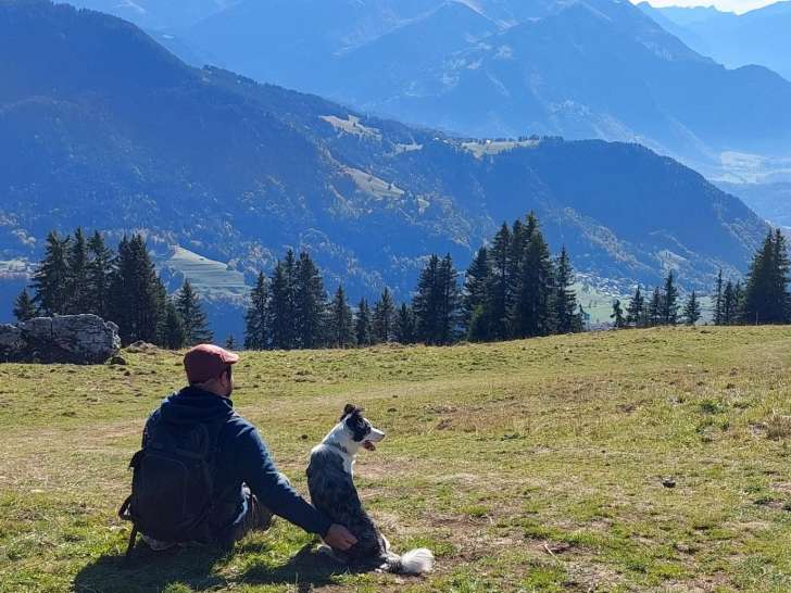 Le chien qui marche